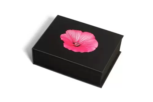 The Blooming Book | Nicolas Mériel