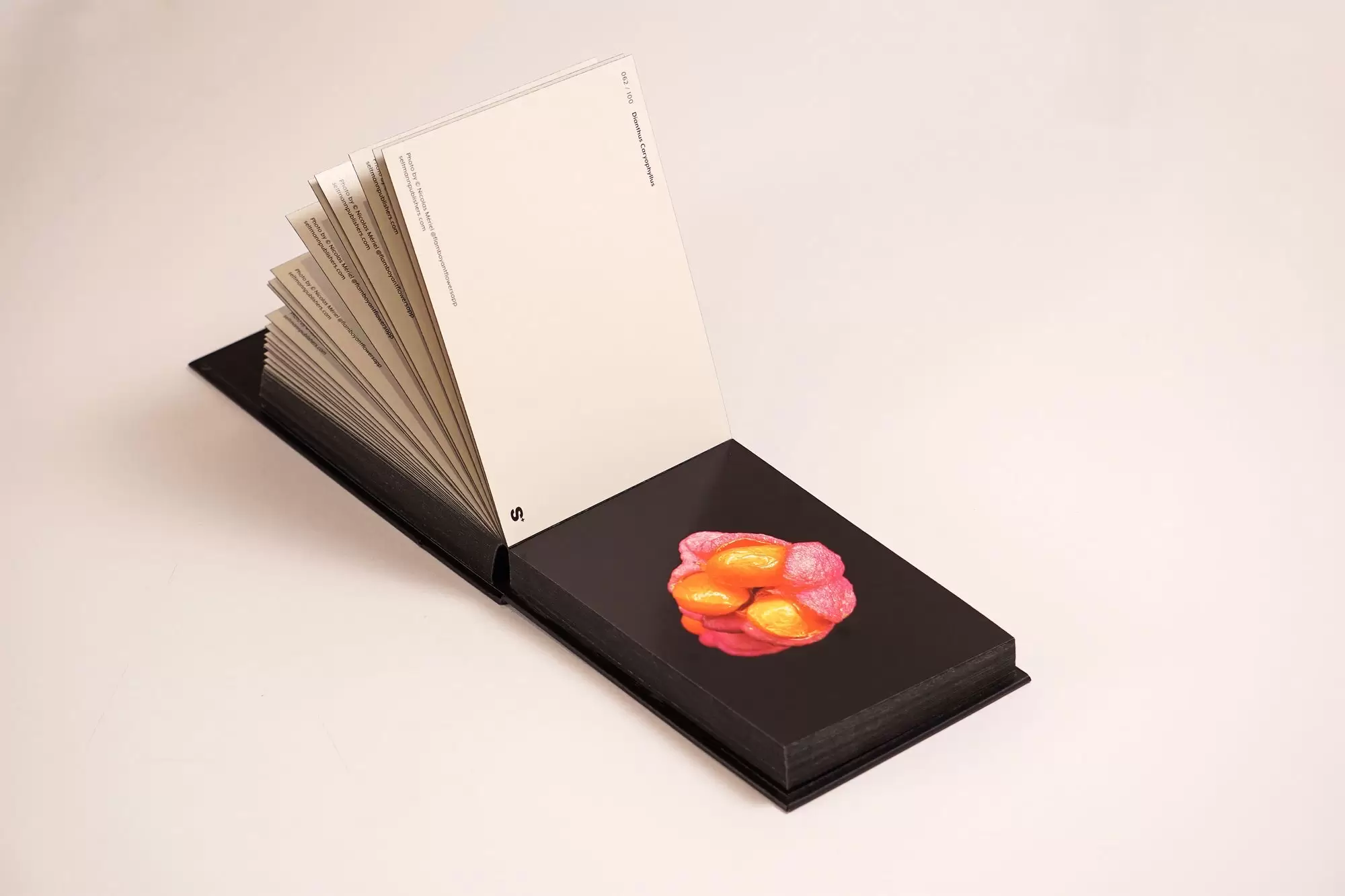 The Blooming Book | Nicolas Mériel