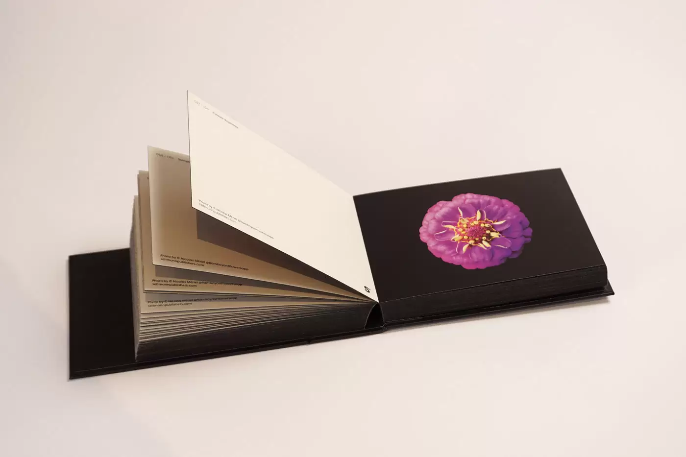 The Blooming Book | Nicolas Mériel