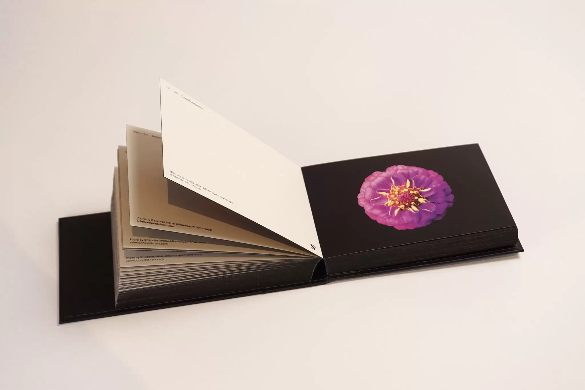 The Blooming Book | Nicolas Mériel