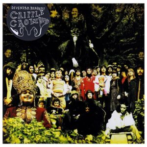 Devendra Banhart – Cripple Crow