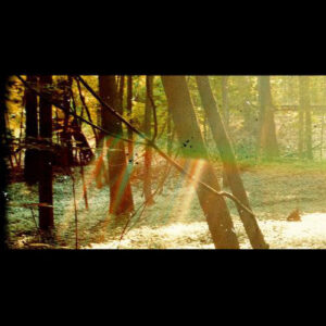Childish Gambino – Camp