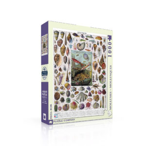 Dėlionė | MOLLUSKS