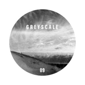 Lark Dub / Fed On Dub by Upwellings