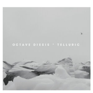 Kontrapunkt 02 | Telluric by Octave Diesis