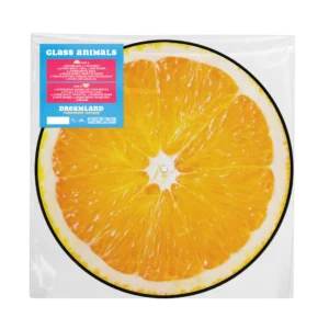 Glass Animals – Dreamland