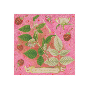 Degtukai | Rose Framboise