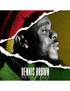 dennis brown money in my pocket vinyle