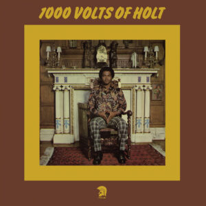 John Holt - One Thousand Volts Of Holt