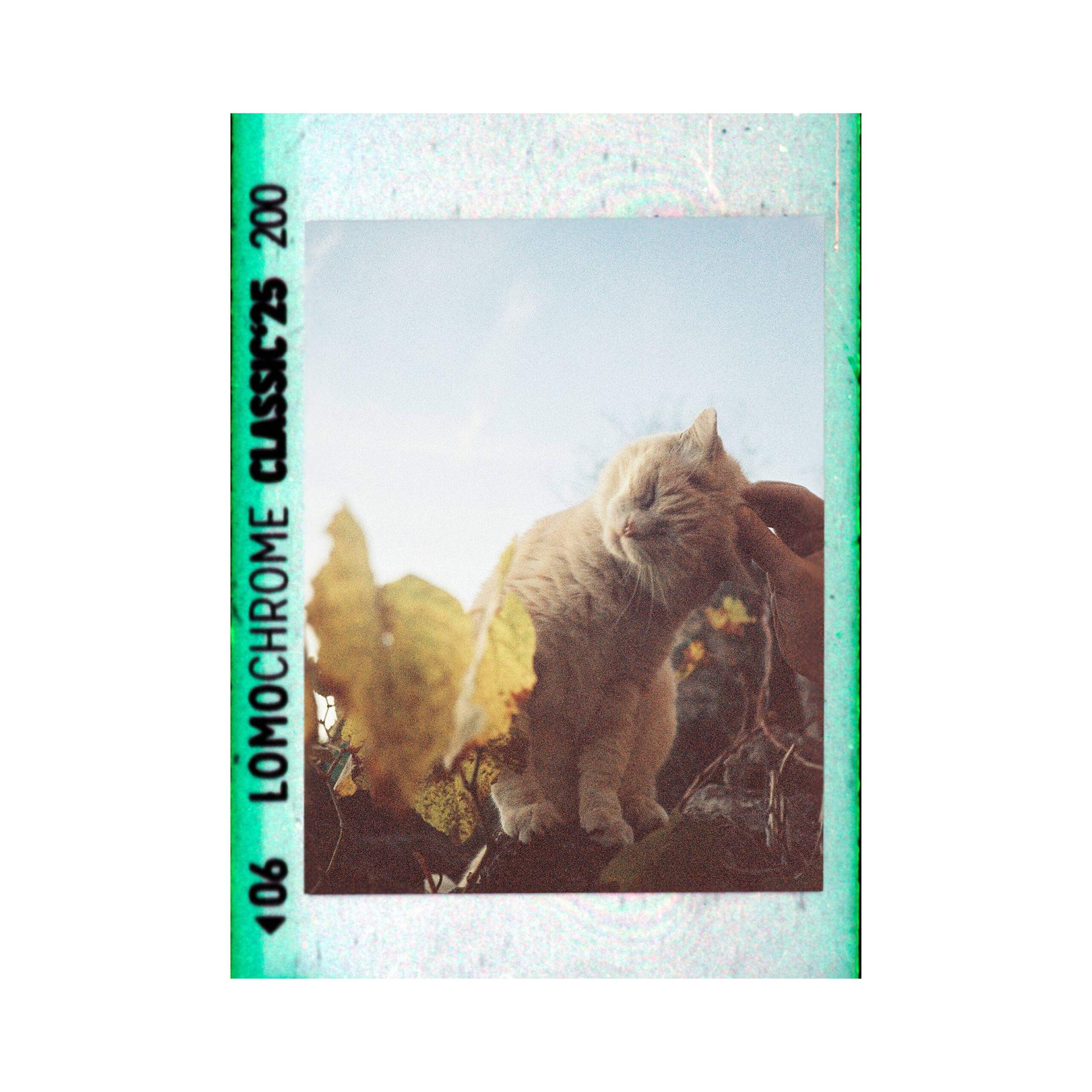 Product feature image