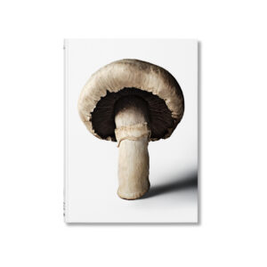 mushroom 10